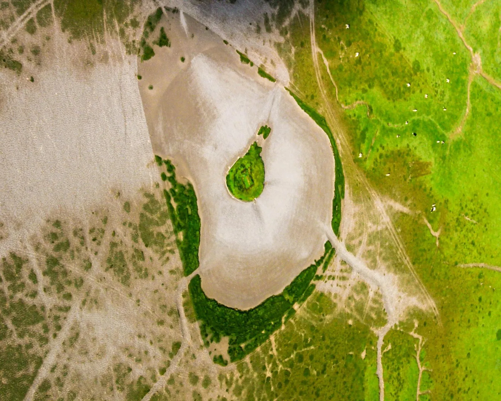 Aerial view of a green island in a pale dry lake pan