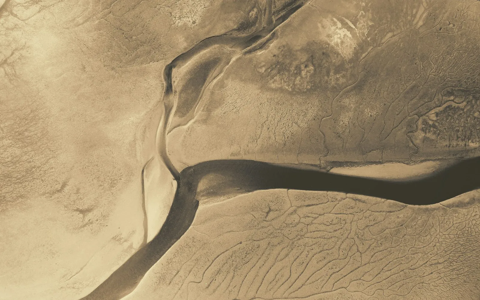 Top-down aerial view of branching tidal channels cutting through amber sand flats